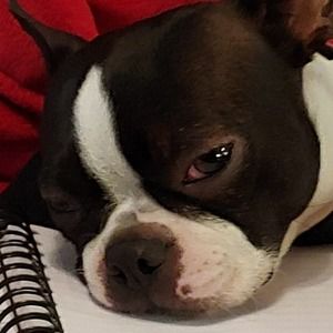 Meet your Posher, Mary anne